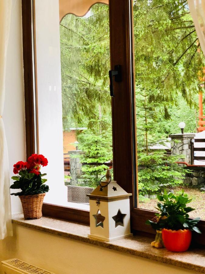 Pensiune & Restaurant Kalinder Buşteni Buitenkant foto