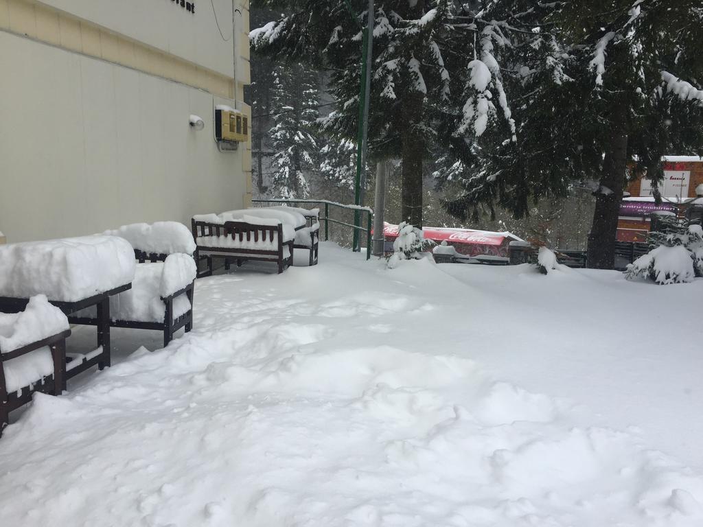 Pensiune & Restaurant Kalinder Buşteni Buitenkant foto